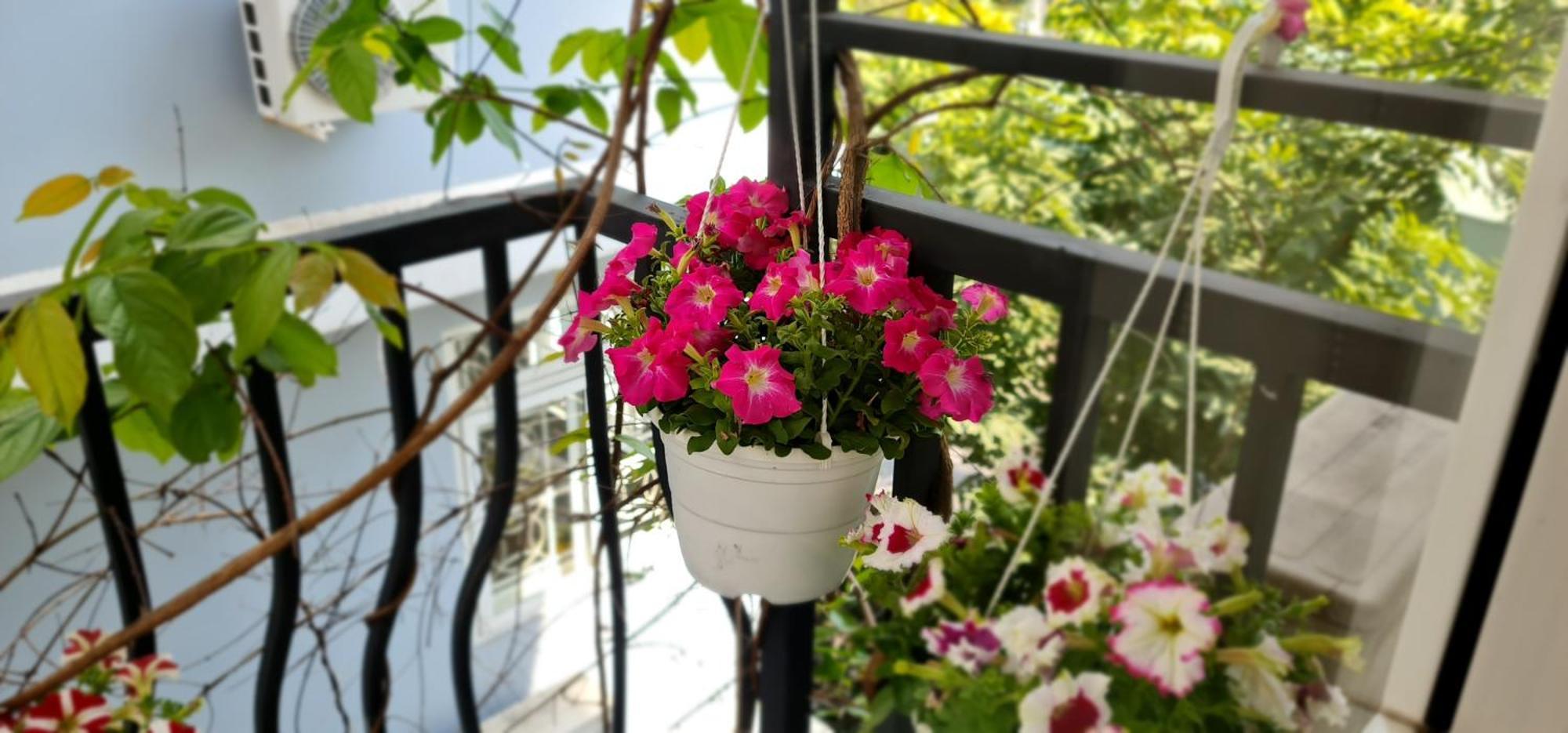 Spring Light Home Хошимин Екстериор снимка